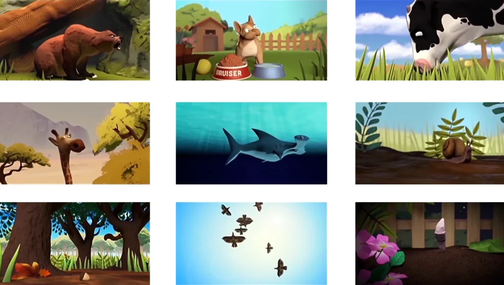 BBC Bitesize Animals