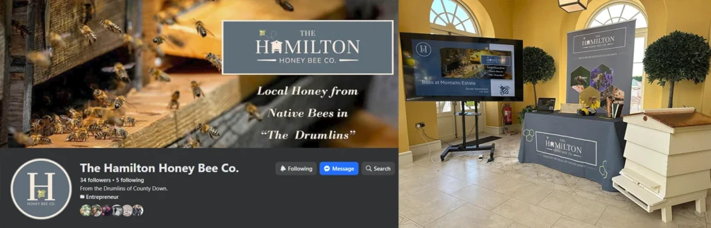 hhb marketing